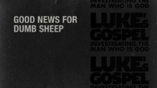 20110227_good-news-for-dumb-sheep_medium_img