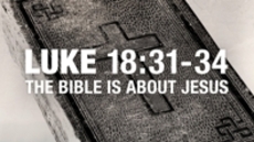 20110605_the-bible-is-about-jesus_medium_img
