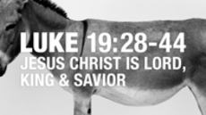 20110703_jesus-christ-is-lord-king-and-savior_medium_img