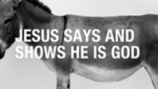 20110703_jesus-says-and-shows-he-is-god_medium_img