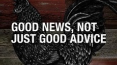 20110925_more-than-good-advise-good-news_medium_img