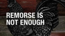 20110925_remorse-is-not-enough_medium_img