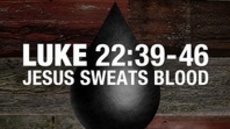 20111009_jesus-sweats-blood_medium_img