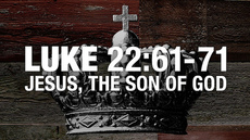 20111024_yes-jesus-claimed-to-be-god-luke-95-sermon-notes_medium_img