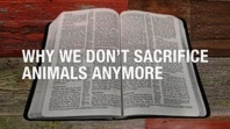20111120_why-we-dont-sacrifice-animals-anymore_medium_img