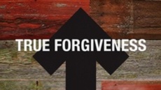 20111127_true-forgiveness_medium_img