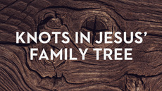20121204_knots-in-jesus-family-tree_medium_img