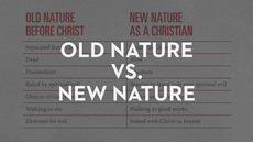 20130219_old-nature-vs-new-nature_medium_img