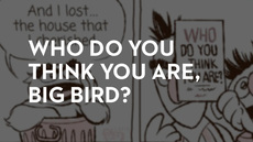 20130304_who-do-you-think-you-are-big-bird_medium_img