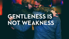 20130422_gentleness-is-not-weakness_medium_img