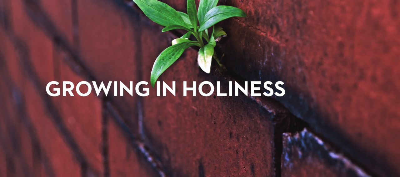 20130523_growing-in-holiness_banner_img