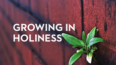 20130523_growing-in-holiness_medium_img
