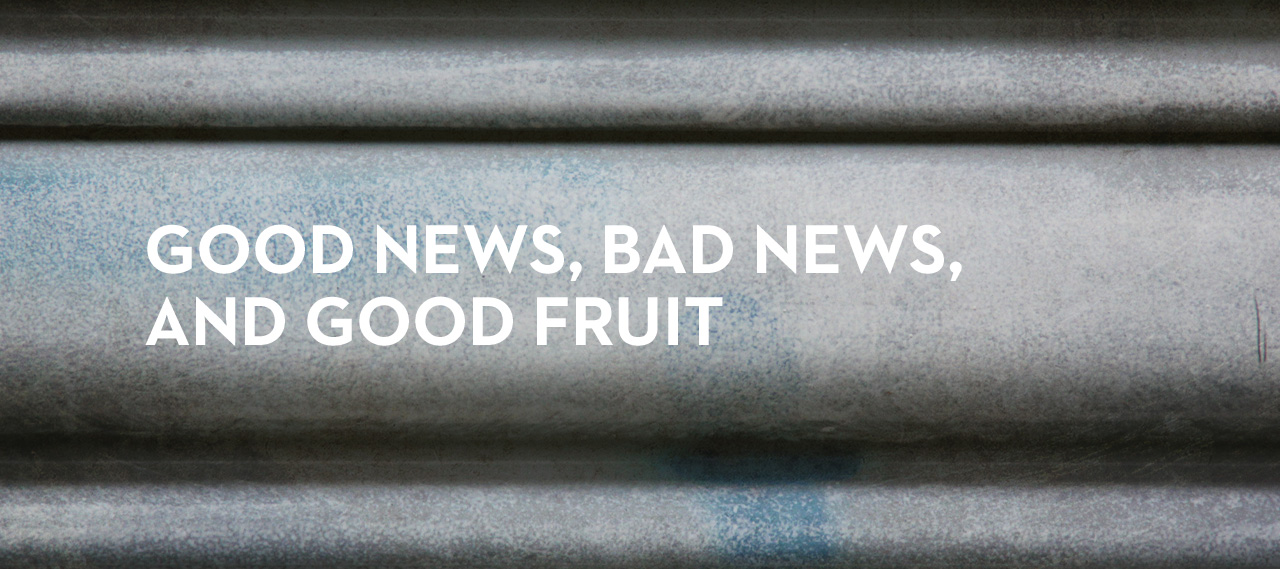20130603_good-news-bad-news-and-good-fruit_banner_img