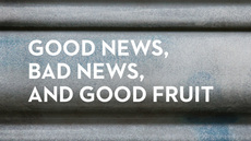 20130603_good-news-bad-news-and-good-fruit_medium_img
