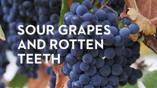20130712_sour-grapes-and-rotten-teeth_medium_img