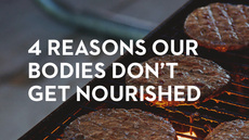 20130815_what-are-you-hungry-for-4-reasons-our-bodies-don-t-get-nourished_medium_img