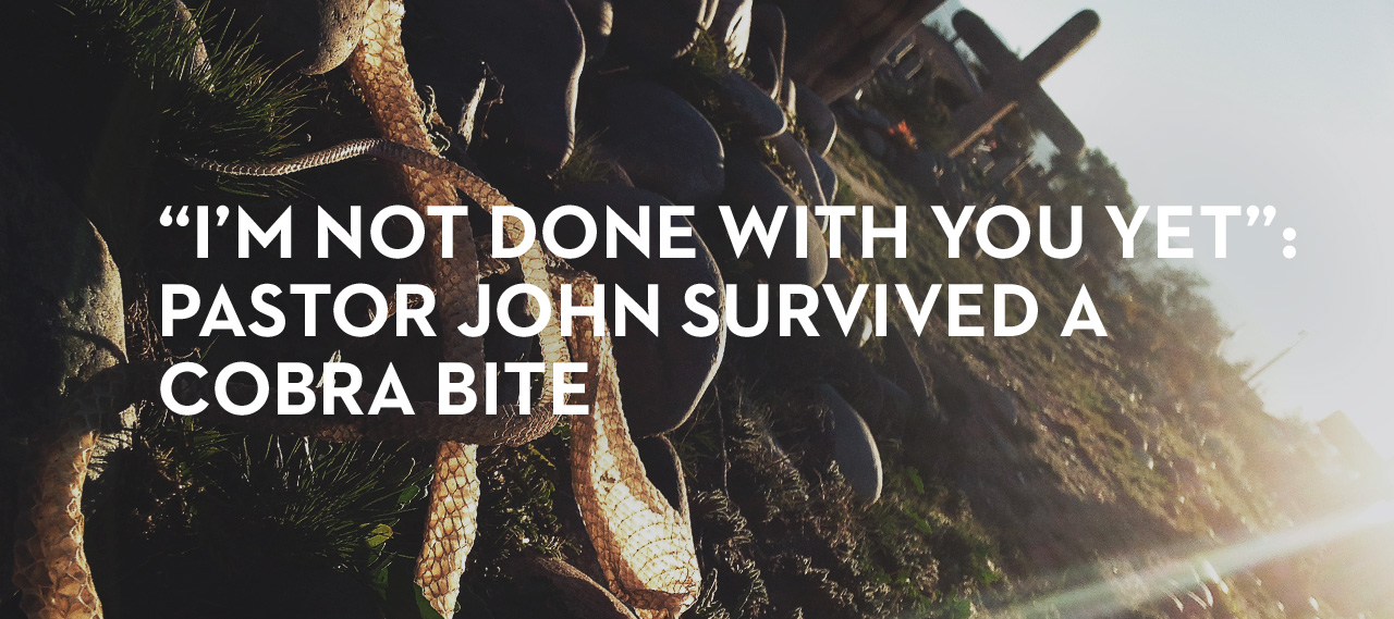 20131114_i-m-not-done-with-you-yet-pastor-john-survived-a-cobra-bite_banner_img