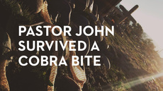 20131114_i-m-not-done-with-you-yet-pastor-john-survived-a-cobra-bite_medium_img