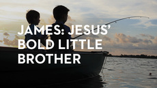 20140106_james-jesus-bold-little-brother_medium_img