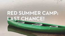 20140721_last-chance-to-sign-up-for-summer-camp_medium_img